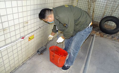珠海厂房病媒生物防制全攻略 斗门、高栏港、南屏、金湾及洪湾工厂虫鼠防控要点