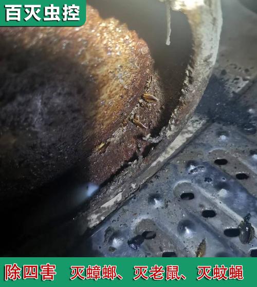询盘留言||申领|删除产品编号:539690194