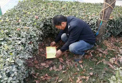 渭滨办扎实开展冬春季灭鼠活动_小区